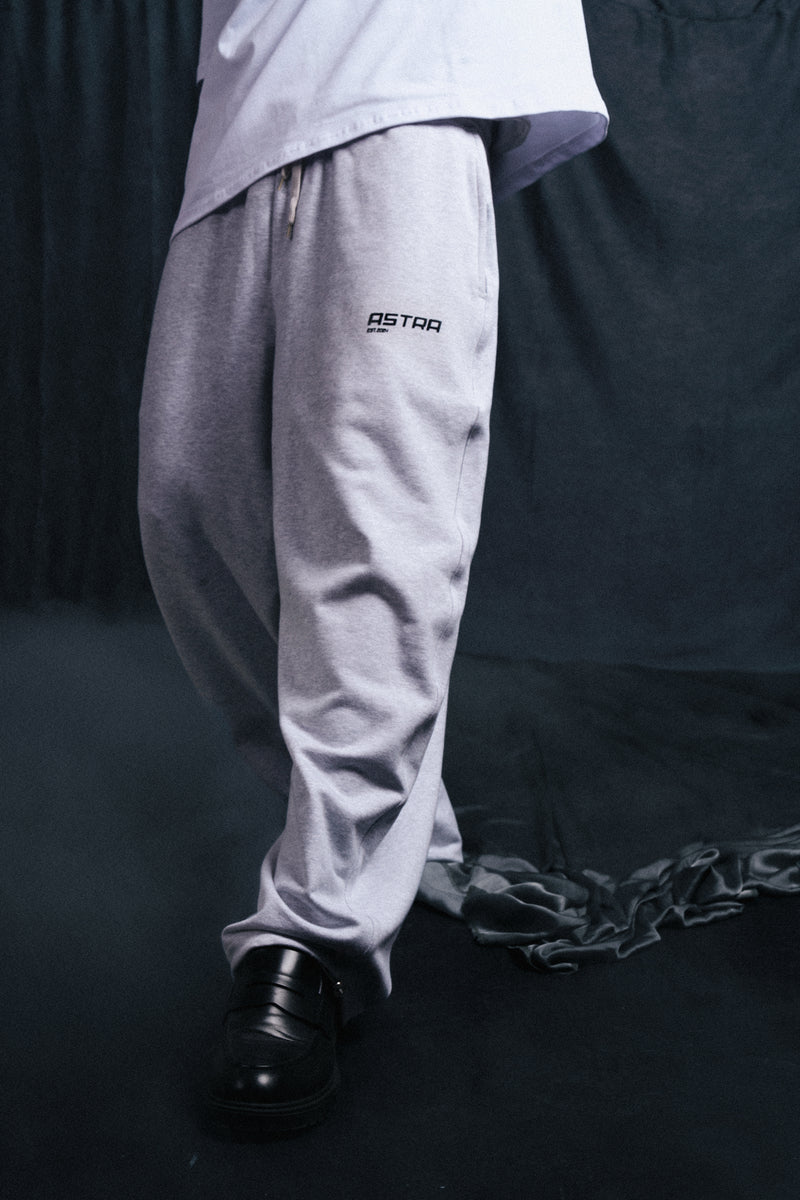 Baggy fit Pants In Grey